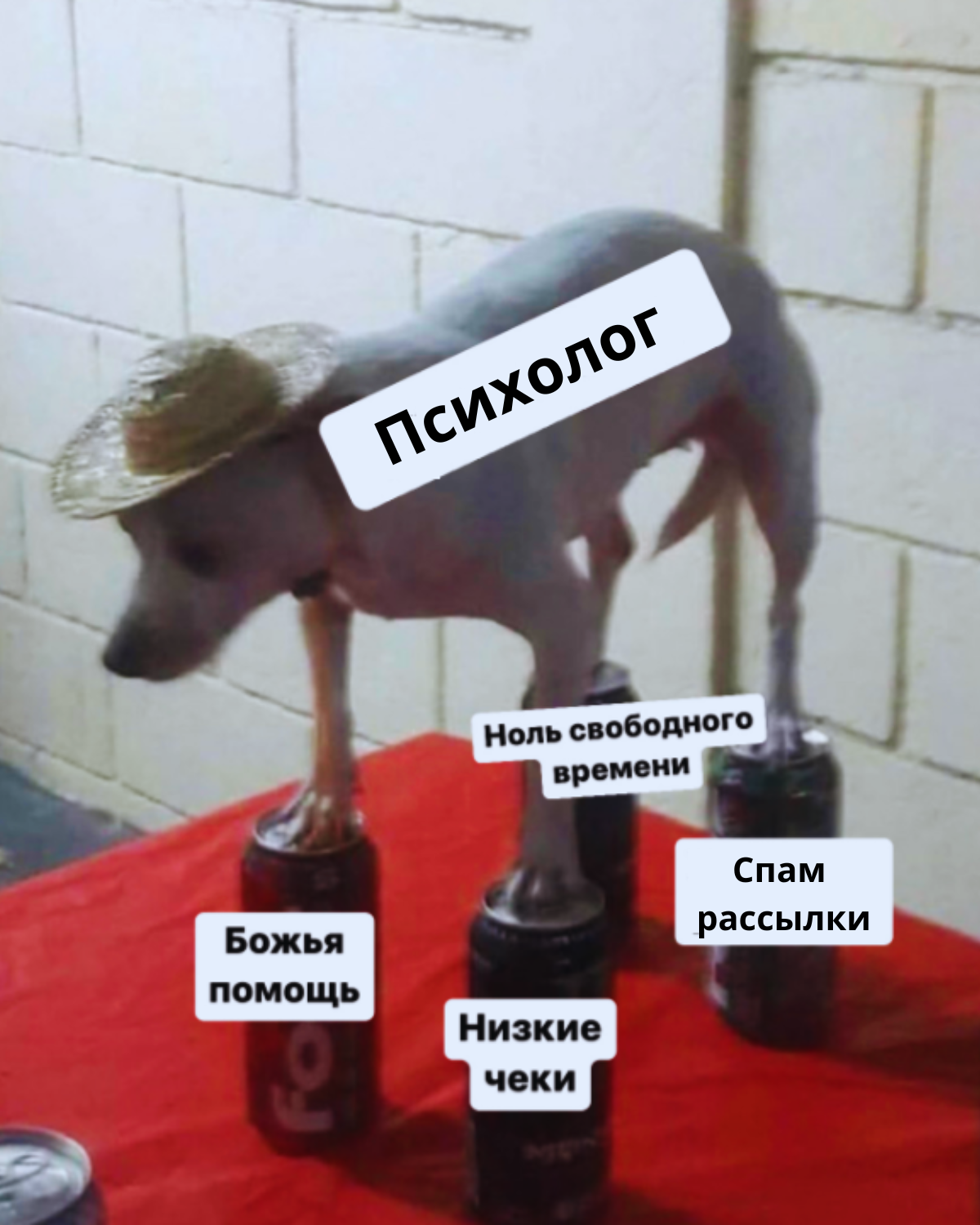 Заголовок